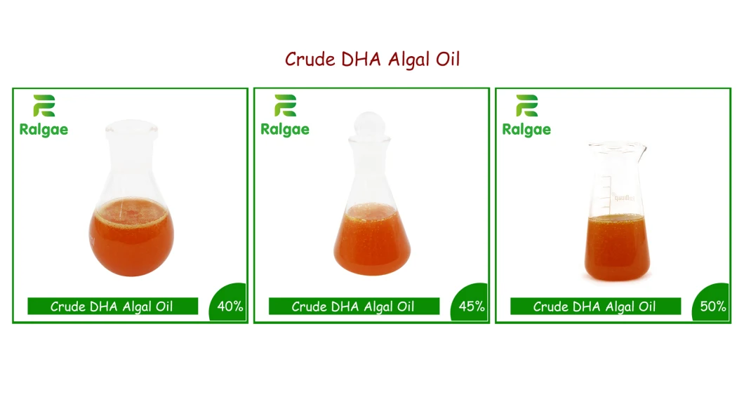 Docosahexaenoic Acid Vegan Omega 3 Oil DHA Algae Oil Crude DHA Algal Oil Alga Oil DHA for Animal Nutrition Horse Equine Nutrition Supplement Refine Oil Plant