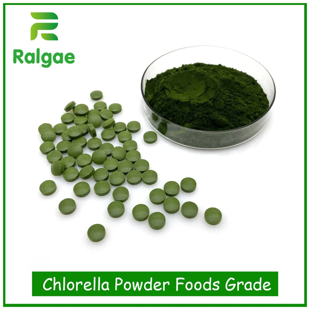 Pure Microalgae Chlorella Tablets Vegan Protein Supplements