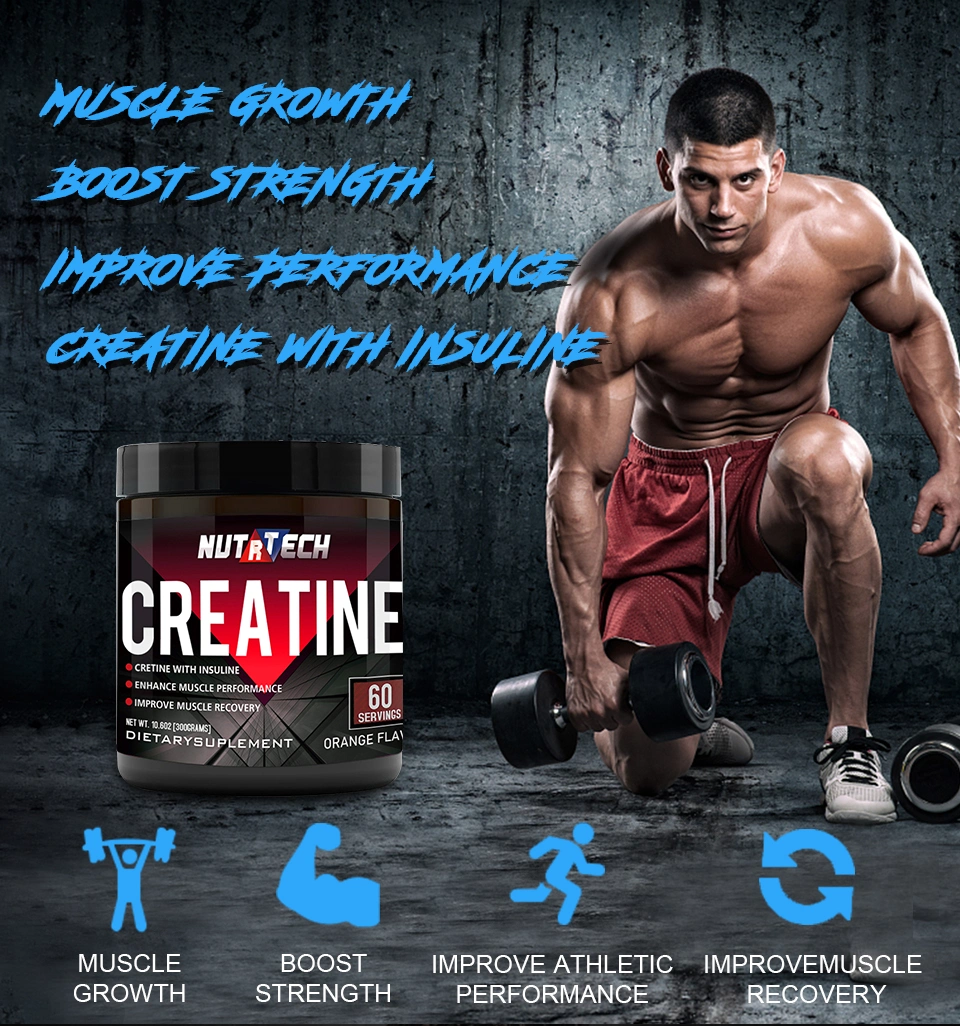 Wholesale Sports Nutrition Creatine, Bulk Pure Creatine Monohydrate