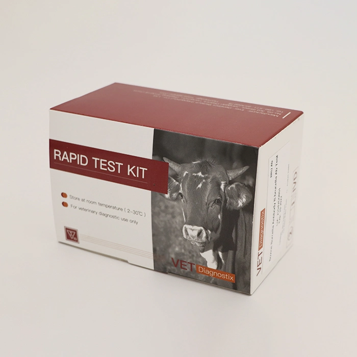 African Swine Fever Test Kit Pig Fever Antibody Rapid Test