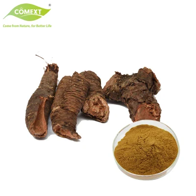 Suplemento dietético Extracto natural de Rhodiola Rosea 10338-51-9 1% Salidroside 3% Rosavins