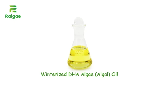 Winterized Vegan Omega -3 Oil DHA Algal Oil 50% DHA No EPA para nutrición vegetariana Suplemento dietético Softgel CAS6217-54-5