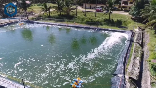 Revestimiento de lámina de plástico negro de 0,2 mm/0,5 mm/1,0 mm/2,0 mm Geomembrana de HDPE impermeabilizante Viring CE/ASTM para agricultura/presa/vertedero/lago/biogás/proyecto de acuicultura